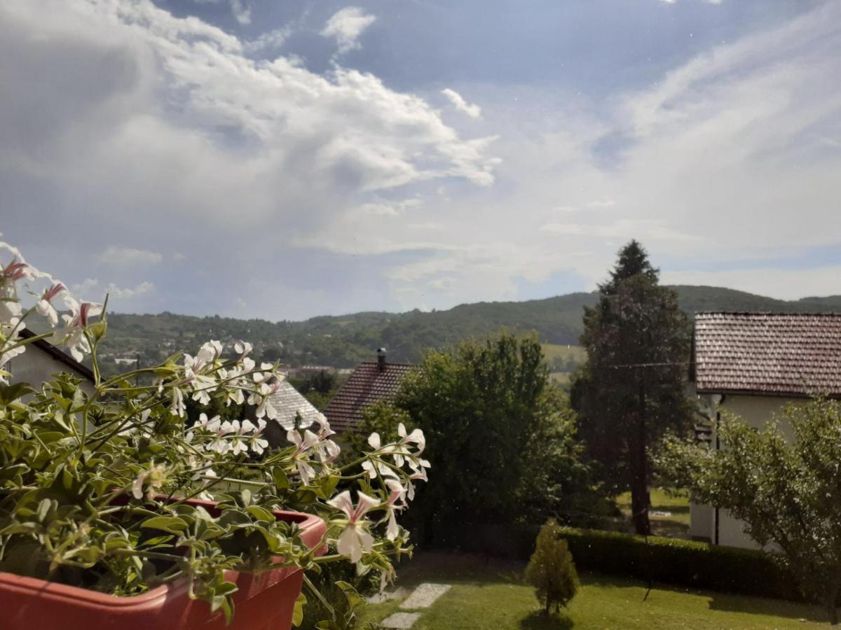 Smestaj Vrhovac Апартамент
