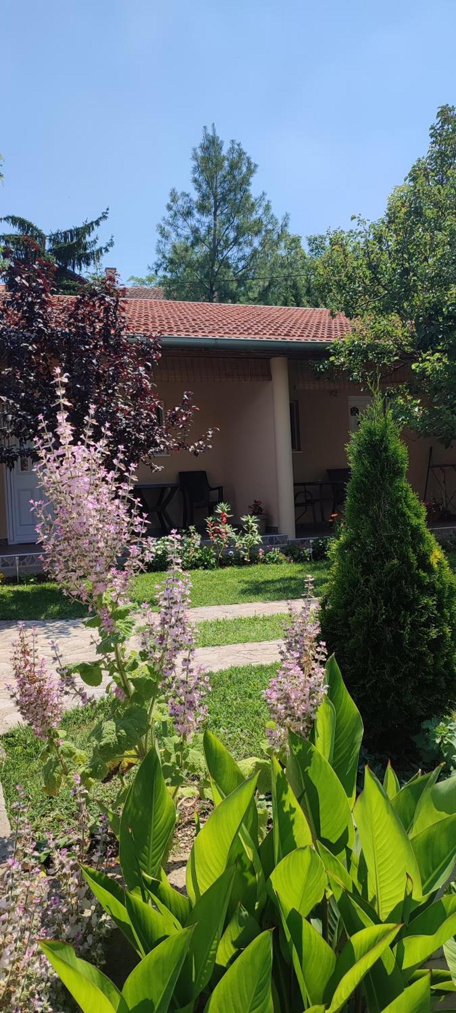 Smestaj Vrhovac Апартамент *